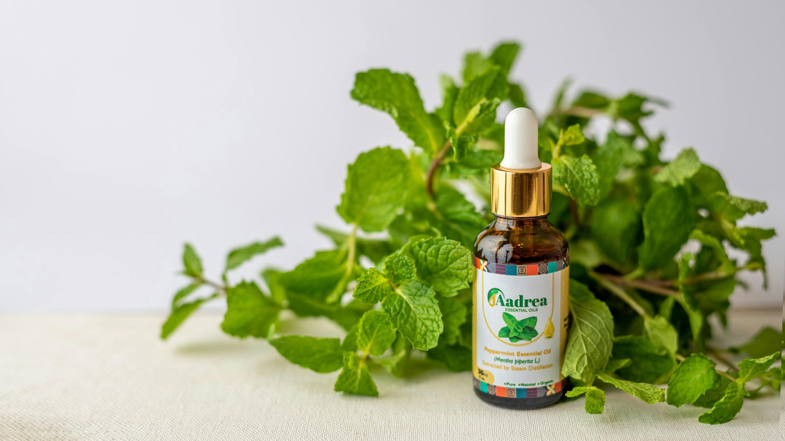 Gros plan sur un flacon d'huile essentielle de menthe poivrée entouré de feuilles de menthe fraîche, parfait pour une utilisation en bien-être naturel.
