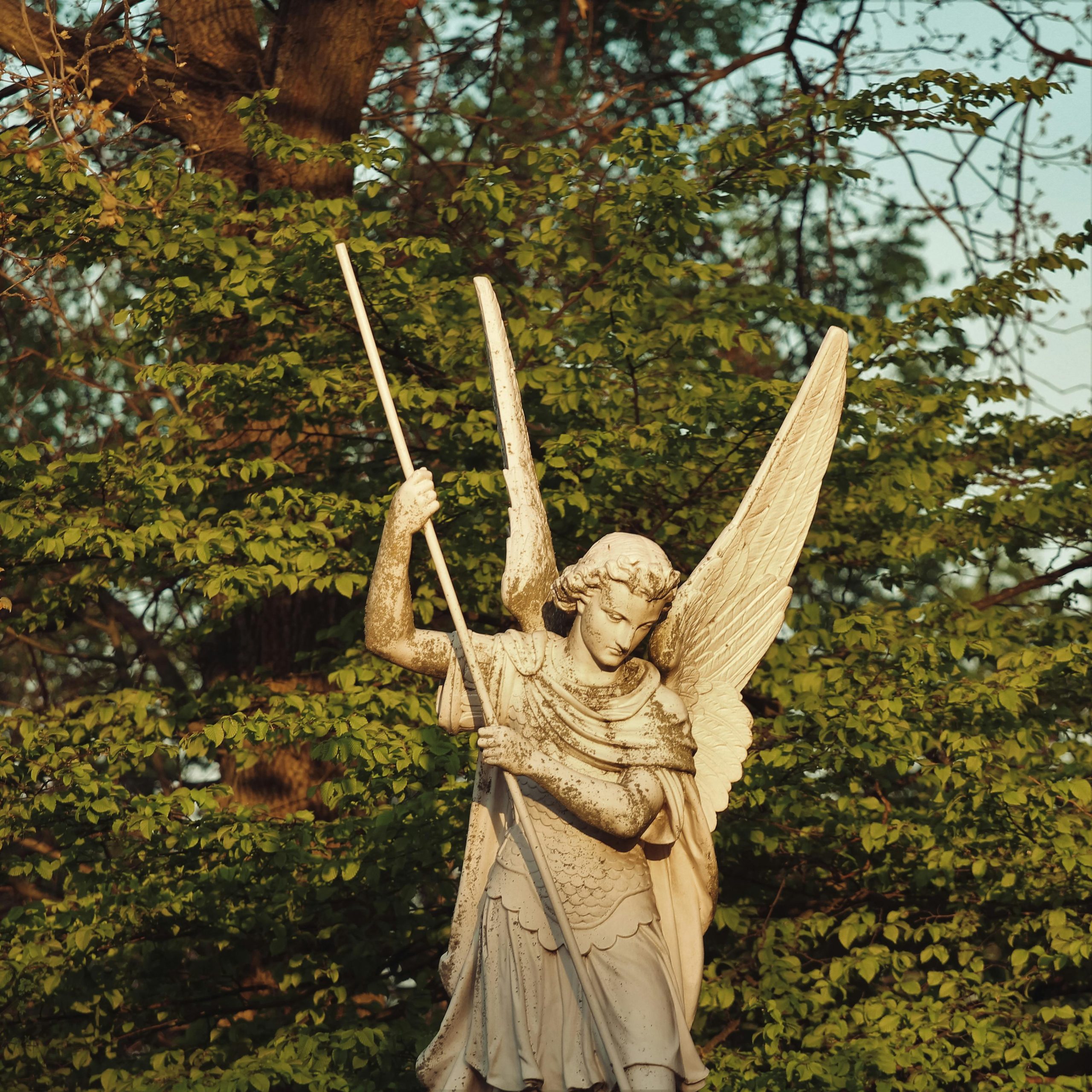 Majestic angel statue surrounded by lush foliage, capturing serene beauty in nature. Statue d'ange majestueux entourée d'une végétation luxuriante, capturant la beauté sereine de la nature.