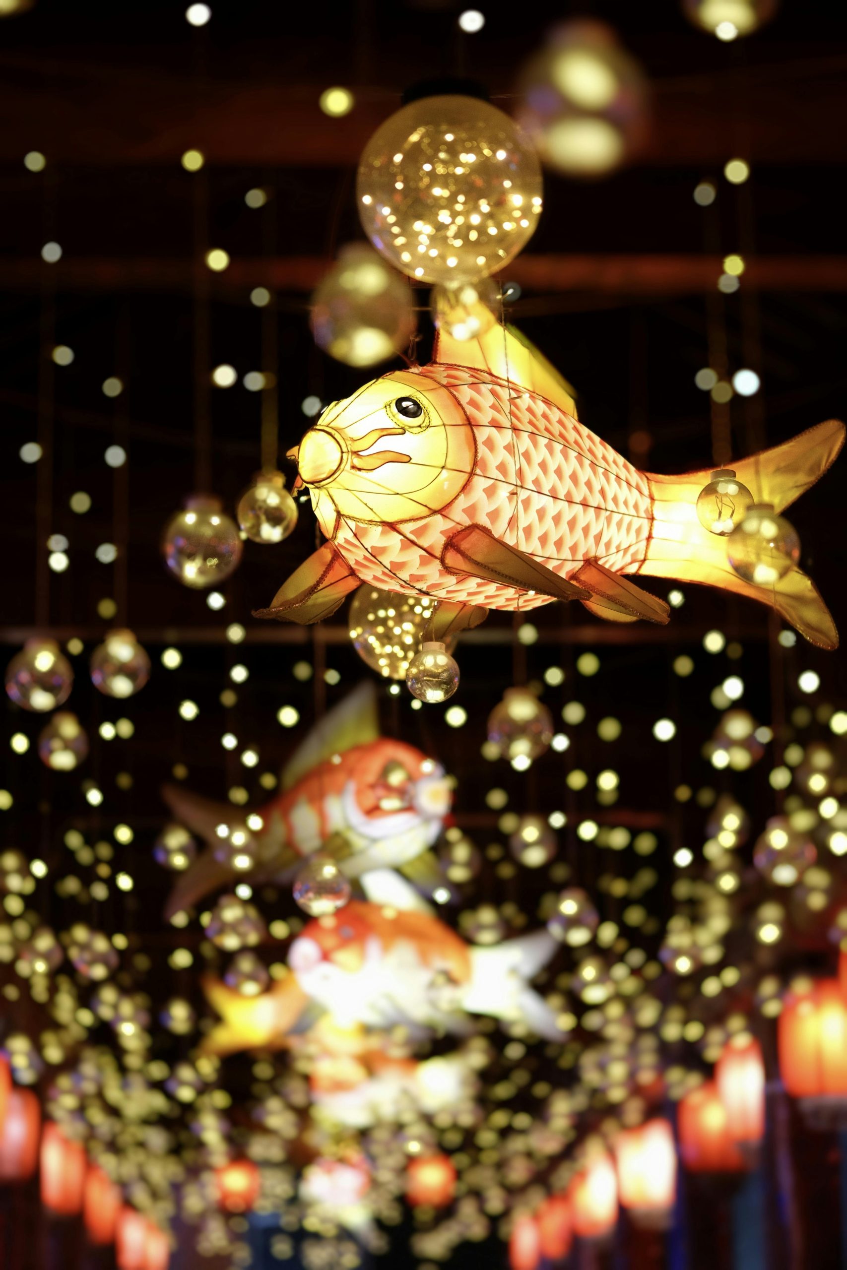 Mystères de la constellation du Poisson
