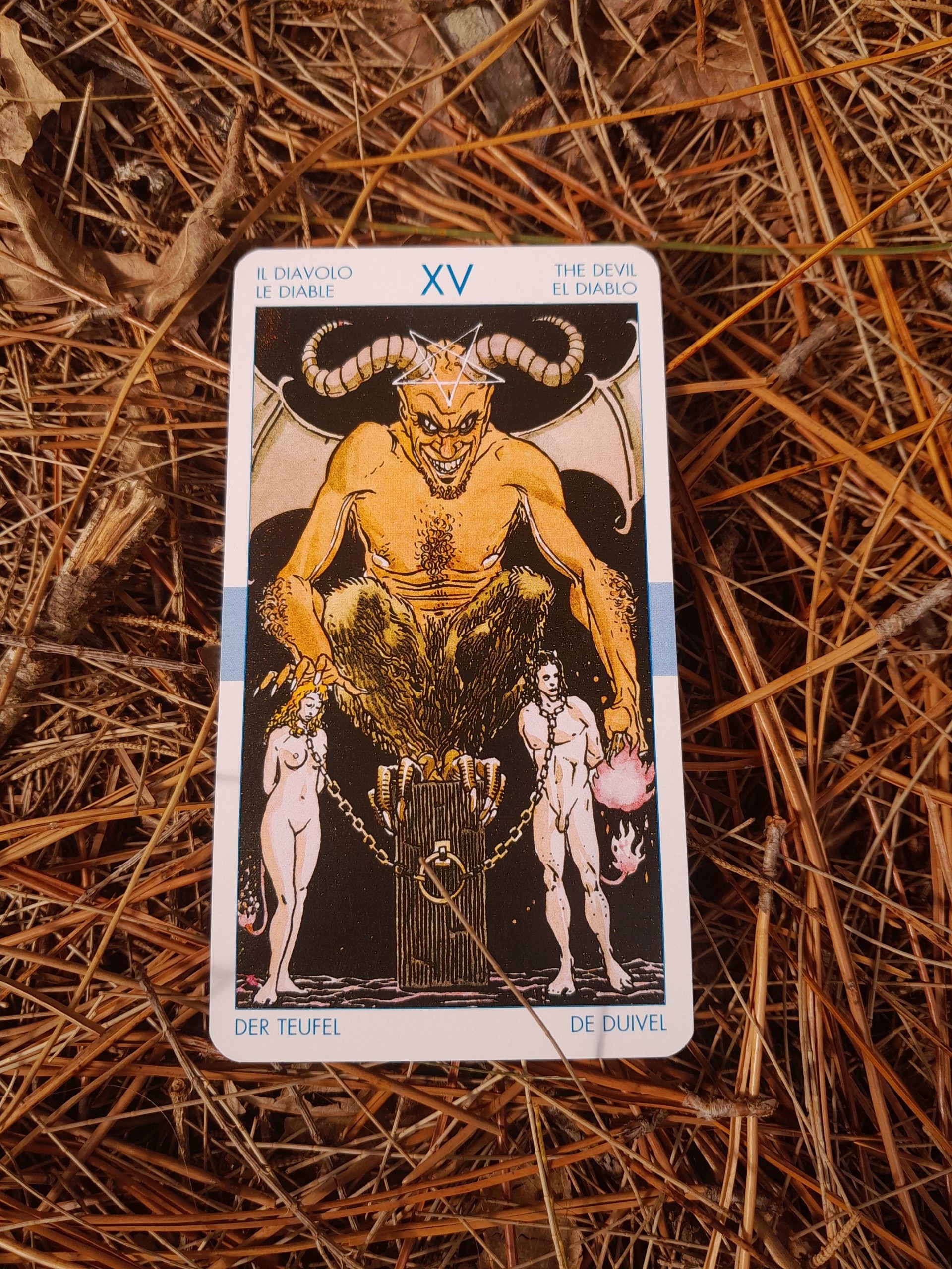 The Devil tarot card placed on dried pine needles, showing intricate artwork. Le tarot du Diable placé sur des aiguilles de pin séchées, montrant des œuvres d'art complexes.