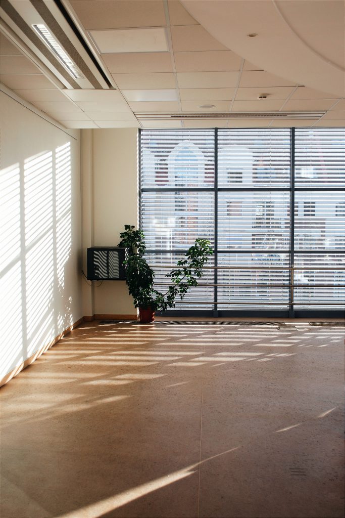A sunlit office corner with blinds casting shadows and a potted plant, creating a serene atmosphere. Un coin de bureau ensoleillé avec des stores projetant des ombres et une plante en pot, créant une atmosphère sereine.