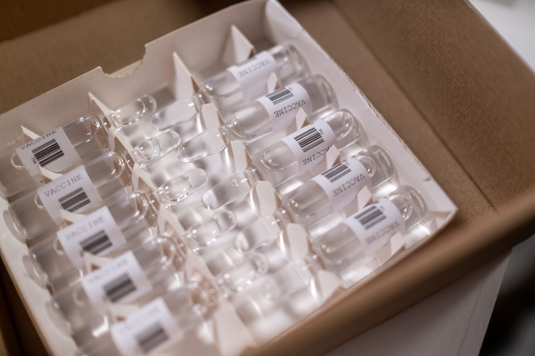 Boîte de flacons de vaccin prête pour la distribution