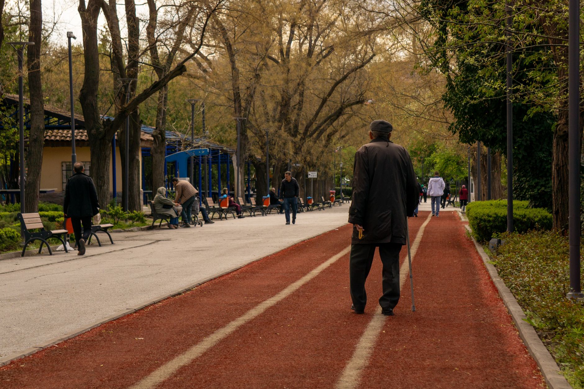 Homme âgé marchant avec une canne dans un parc calme