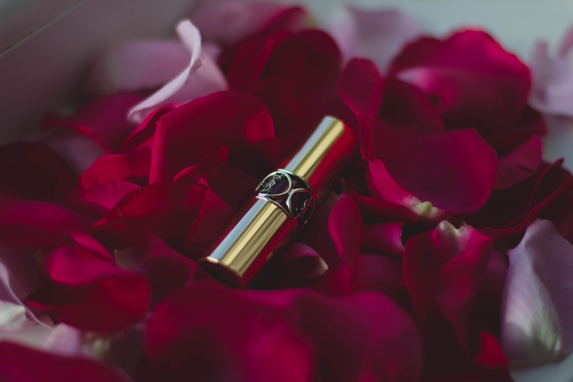 Rouge a levres dore pose pres de petales de rose